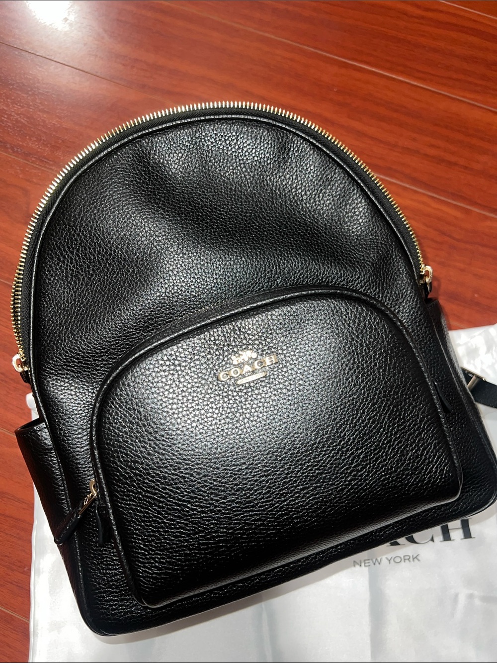 Coach Backpack